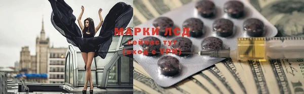шишки Армянск