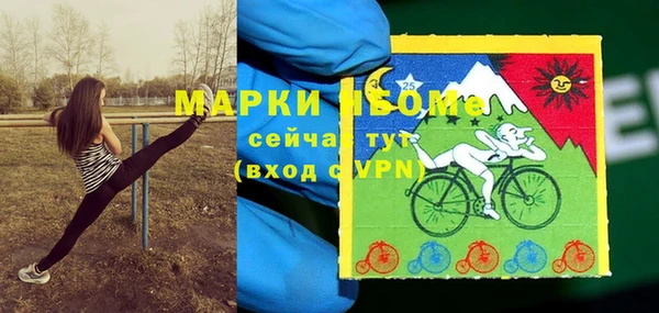 шишки Армянск