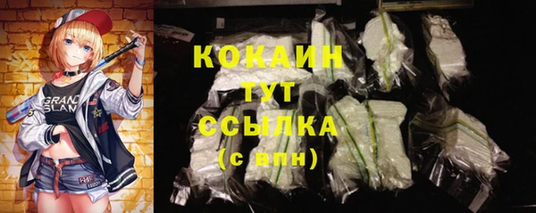 не бодяженный Арсеньев