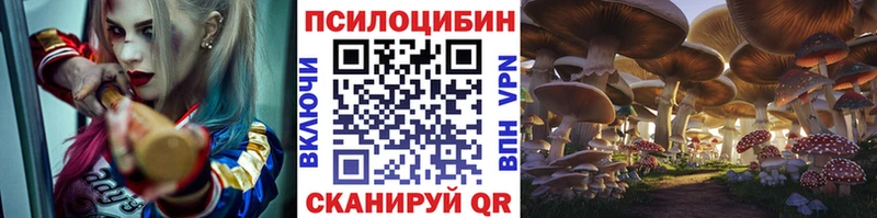 Галлюциногенные грибы Psilocybine cubensis  Еманжелинск 